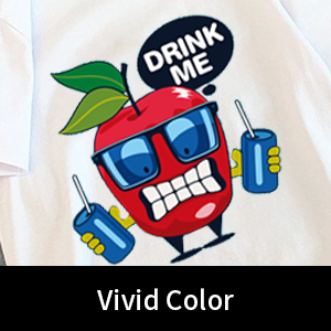 A4 / A3 DTF-Druckerfilm Kaltschälen 75U Dicke PET-Freigabefilm Nichtklebend 2