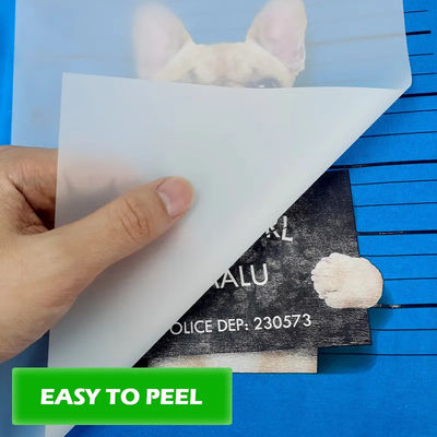 Maximieren Sie Ihr Druckpotenzial mit DTF-Druckmaterialien 30cm*100m 75U Release Pet Film Roll Doppelseitiges Kaltpeeling