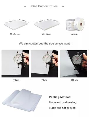 75 Mikrometer Matte Polyester-Freistellfilm 48*64cm Offset-Druckfilm für Bekleidung