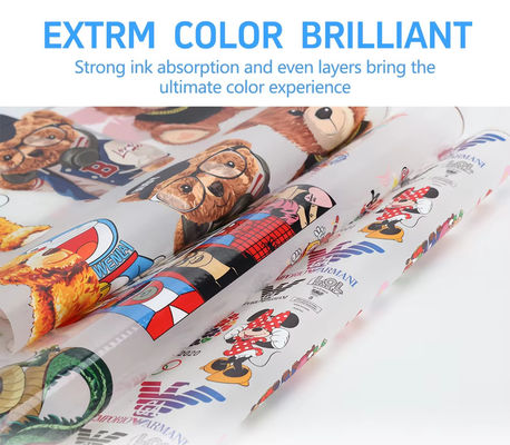 30cm*100M Hot Peel Single Double Side Roll DTF-Transferfilm für einen DTF-Inkjet-Drucker