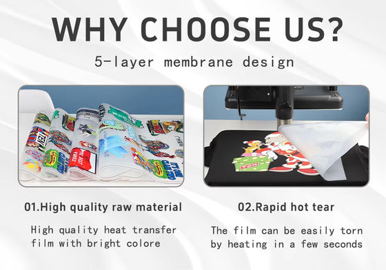 30cm*100M Hot Peel Single Double Side Roll DTF-Transferfilm für einen DTF-Inkjet-Drucker