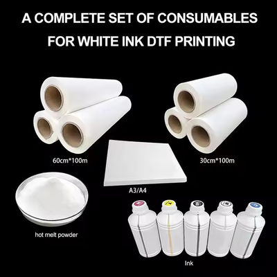 30cm*100M Hot Peel Single Double Side Roll DTF-Transferfilm für einen DTF-Inkjet-Drucker