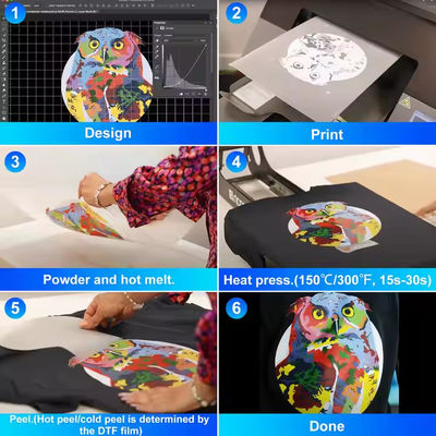 DTF-Transferfilm von höherer Qualität mit Hot &amp; Cold Peeling-Technologie